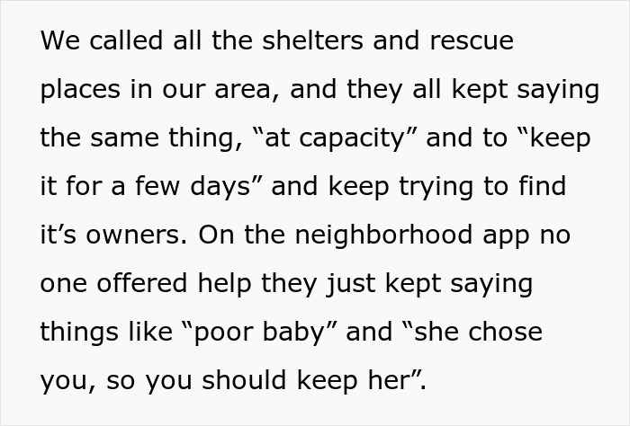 Text about calls to shelters and rescue places at capacity amid dog care home drama, seeking help from neighbors. Text about calls to shelters and rescue places at capacity amid dog care home drama, seeking help from neighbors.