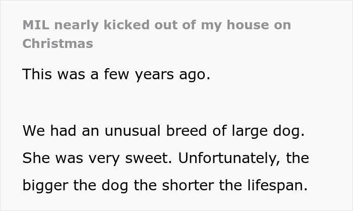 A large sweet dog at Christmas in a military house, reflecting on the challenges of lifespan and family dynamics. A large sweet dog at Christmas in a military house, reflecting on the challenges of lifespan and family dynamics.