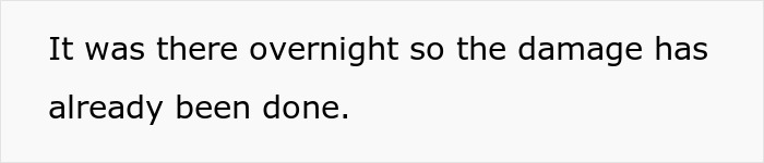 Text excerpt showing a statement about overnight damage, related to a man demanding cousin pay for his cruel prank and aunt’s reaction. Text excerpt showing a statement about overnight damage, related to a man demanding cousin pay for his cruel prank and aunt’s reaction.