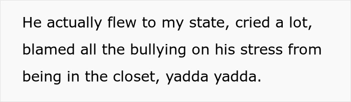 Alt text: Text about a gay bro blaming his stress from being in the closet after years of treating his sister poorly. Alt text: Text about a gay bro blaming his stress from being in the closet after years of treating his sister poorly.