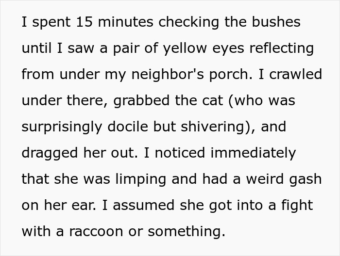Person describing stealing wrong cat found limping under neighbor's porch, relating story about paying bills. Person describing stealing wrong cat found limping under neighbor's porch, relating story about paying bills.