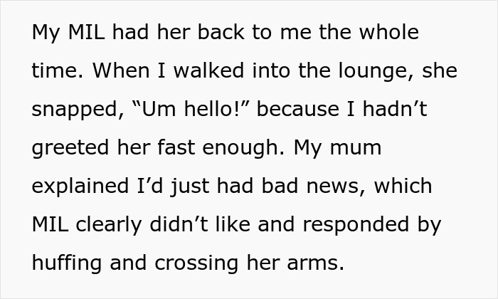 Text describing a woman hosting a casual Christmas while her toxic mother-in-law offends and causes tension.