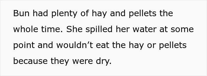 Text about bunny care neglect due to water spill causing hay and pellets to become dry and uneaten.