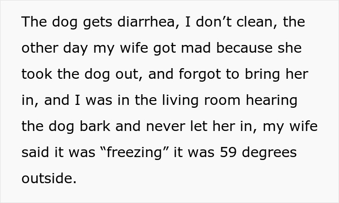 Text excerpt describing a dog-care home drama involving a dog&rsquo;s diarrhea, barking, and a cold argument.