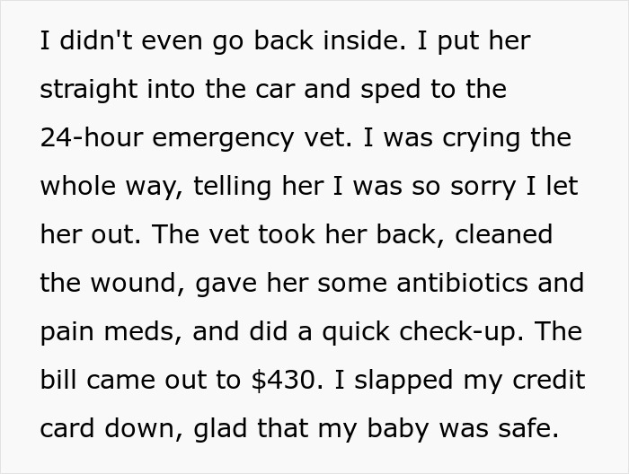 Alt text: Person rushing injured cat to emergency vet, paying high bills after stealing wrong cat caused injury and vet care.