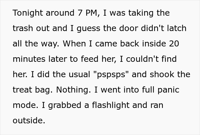 Person describing stealing wrong cat and paying bills after panicking over missing pet and searching outside with flashlight. Person describing stealing wrong cat and paying bills after panicking over missing pet and searching outside with flashlight.