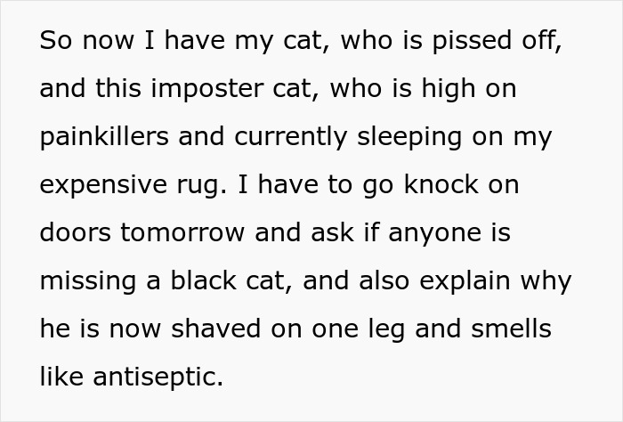 Text about stealing wrong cat, dealing with imposter cat, and paying bills after mistaken cat theft. Text about stealing wrong cat, dealing with imposter cat, and paying bills after mistaken cat theft.