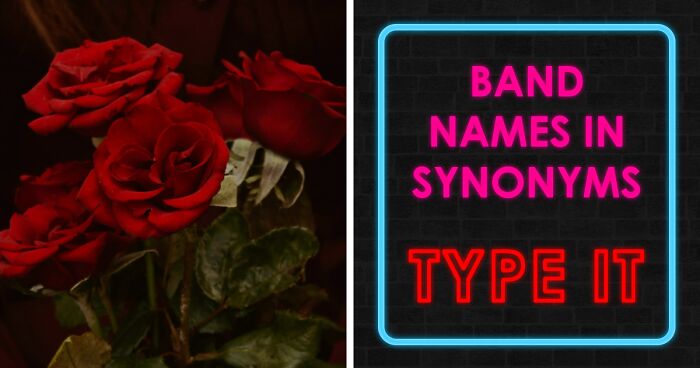 “Can You Identify These Reworded Band Names?”: 28 Challenging, But Funny Phrasings