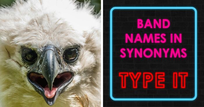 “Can You Identify These Reworded Band Names?”: 28 Challenging, But Funny Phrasings