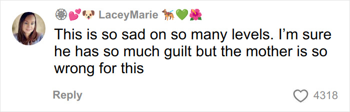 Comment from user LaceyMarie expressing sadness and blaming the mother in the case involving the beauty queen accused of toddler’s passing. Comment from user LaceyMarie expressing sadness and blaming the mother in the case involving the beauty queen accused of toddler’s passing.