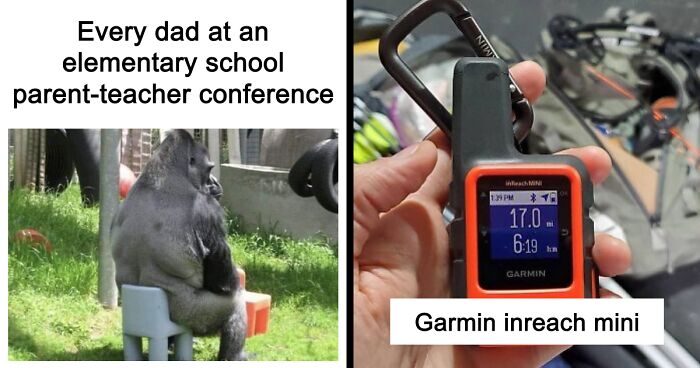 51 Questions And Answers From A Person Paid By The Meat Industry To Discredit Veganism