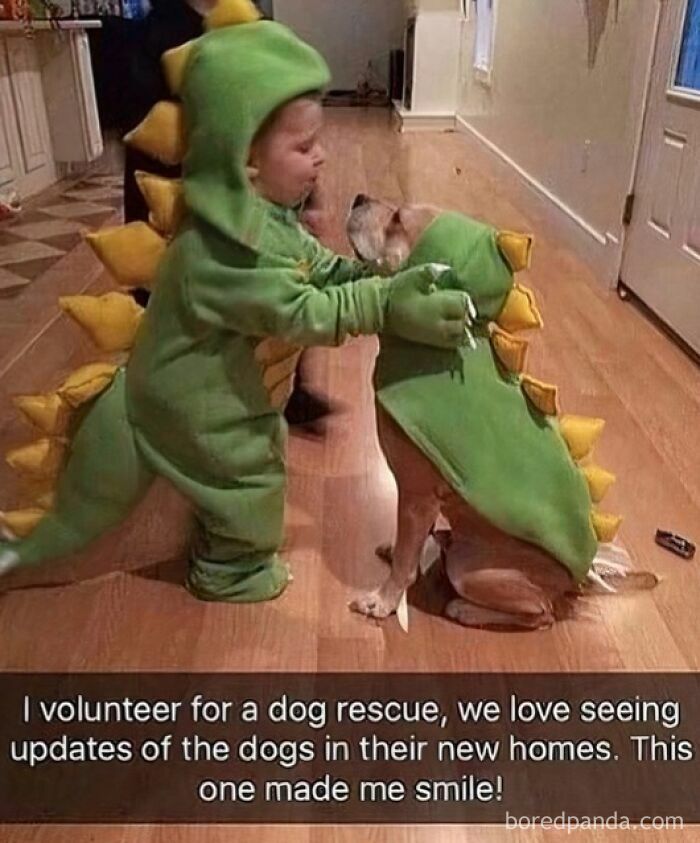 Child and dog dressed as dinosaurs inside a home, showcasing animals delighting us with their antics in 2025.