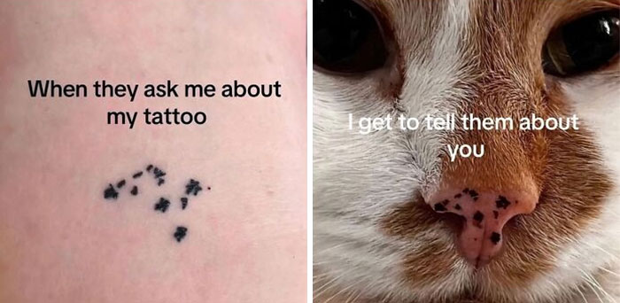 Split image showing a tattoo of a cat’s nose print and a close-up of a cat’s spotted nose, highlighting funny animal antics memes.