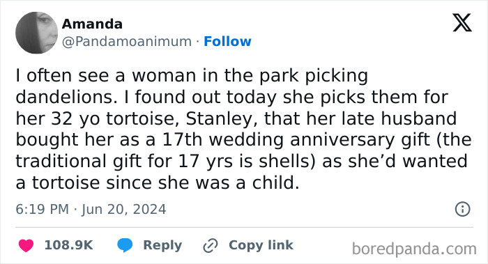 Tweet about a woman picking dandelions in the park for her 32-year-old tortoise, highlighting charming animal antics.