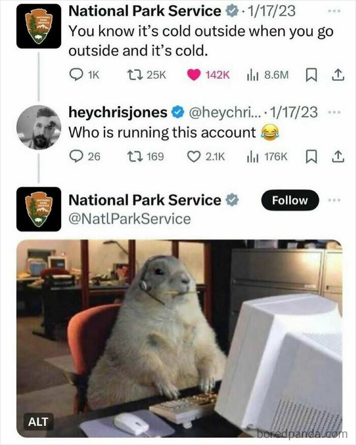 Funny animal meme showing a prairie dog with a headset at a computer, highlighting animals delighting us with their antics.