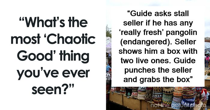 50 People Share The Most “Chaotic Good” Thing They’ve Ever Seen
