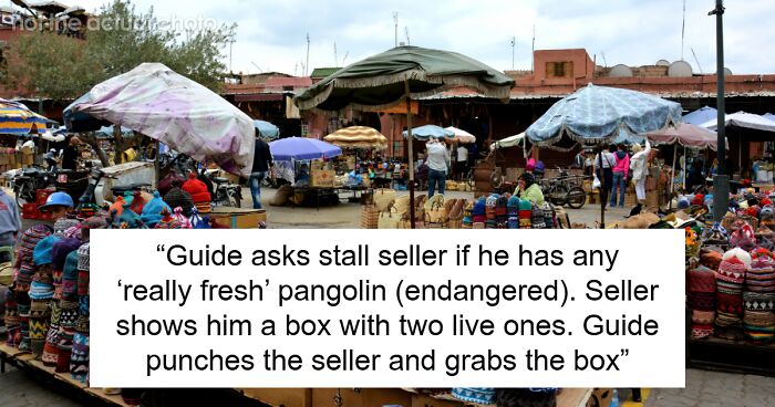 50 People Share The Most “Chaotic Good” Thing They’ve Ever Seen