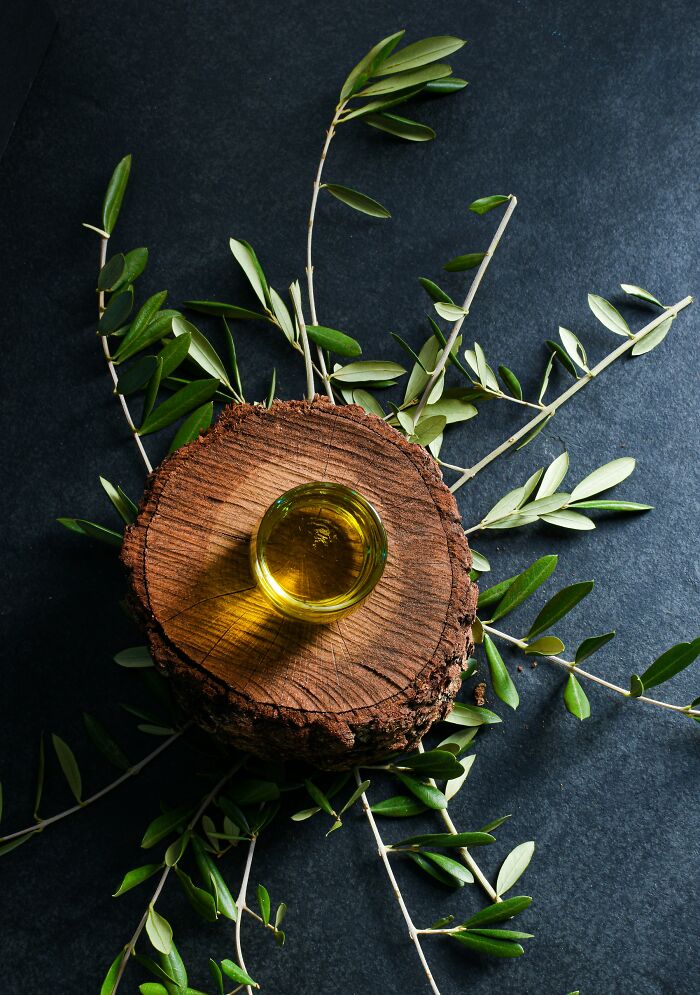 Glass of olive oil placed on wooden log surrounded by fresh olive branches representing Greek village life and culture. Glass of olive oil placed on wooden log surrounded by fresh olive branches representing Greek village life and culture.