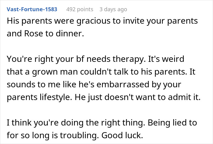 Comment section excerpt discussing a woman rethinking engagement after fiancé lies about her family during holiday dinner.