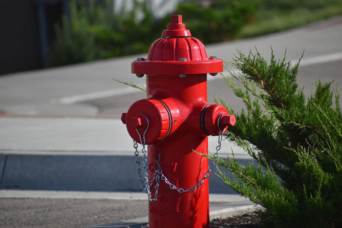 Red fire hydrant near driveway with greenery, illustrating rude guy blocking fire hydrant and driveway scenario. Red fire hydrant near driveway with greenery, illustrating rude guy blocking fire hydrant and driveway scenario.