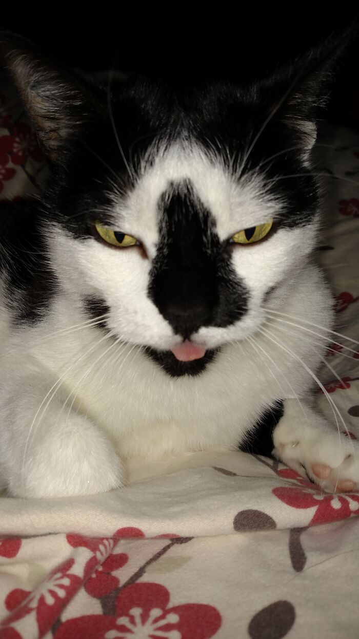 23 Years Old And Loving Life