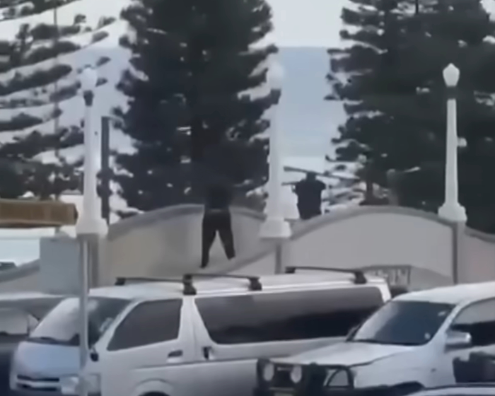 Two people standing on a wall near Bondi Beach with tall pine trees and parked vehicles in the foreground. Two people standing on a wall near Bondi Beach with tall pine trees and parked vehicles in the foreground.