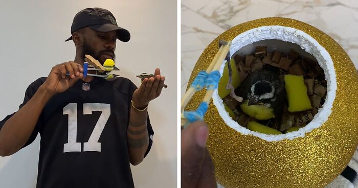 This Guy Rescued A Baby Bird And Created A “Fake Mother” To Help It Survive