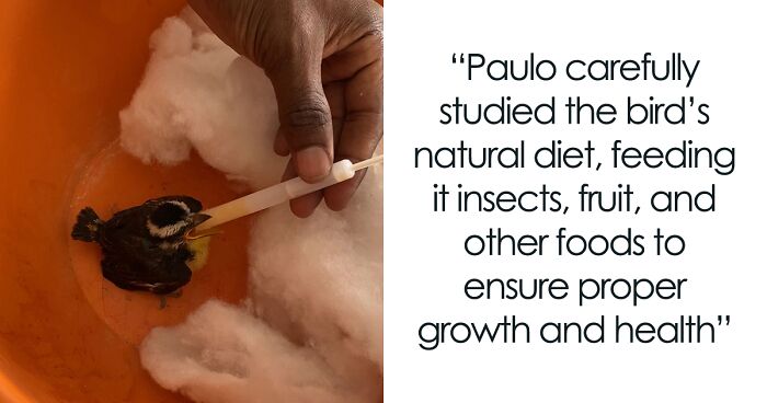 Man Becomes Bird Dad Overnight After Crafting A DIY “Mother” For A Lost Chick