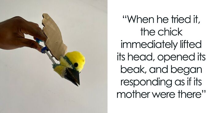 Man Becomes Bird Dad Overnight After Crafting A DIY “Mother” For A Lost Chick