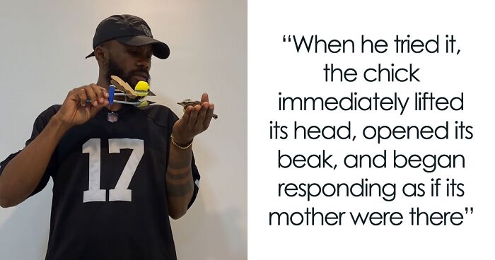 Man Becomes Bird Dad Overnight After Crafting A DIY “Mother” For A Lost Chick