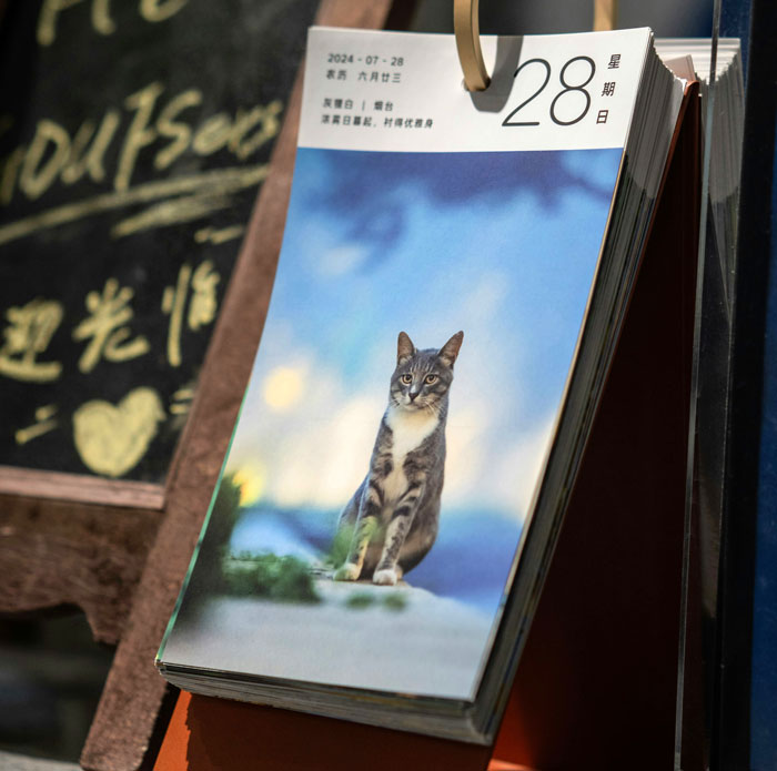 Desk flip calendar showing a cat photo dated July 28 on a stand, tag racist gift Desk flip calendar showing a cat photo dated July 28 on a stand, tag racist gift