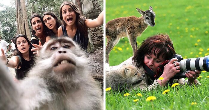 30 Heartwarming And Funny Animal Photos That Might Instantly Brighten Your Day