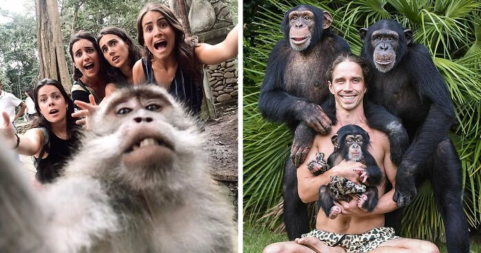 30 Heartwarming And Funny Animal Photos That Might Instantly Brighten Your Day