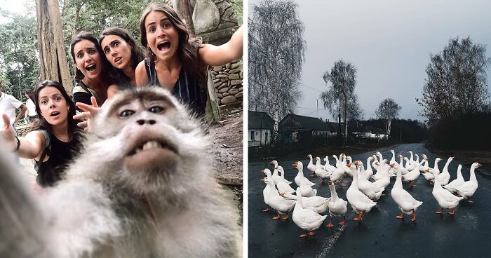 30 Heartwarming And Funny Animal Photos That Might Instantly Brighten Your Day