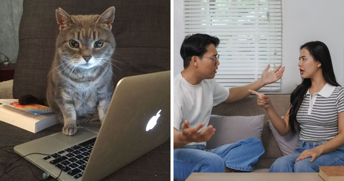 Family Laughs As Guy Chooses Cat Over His Own Sister