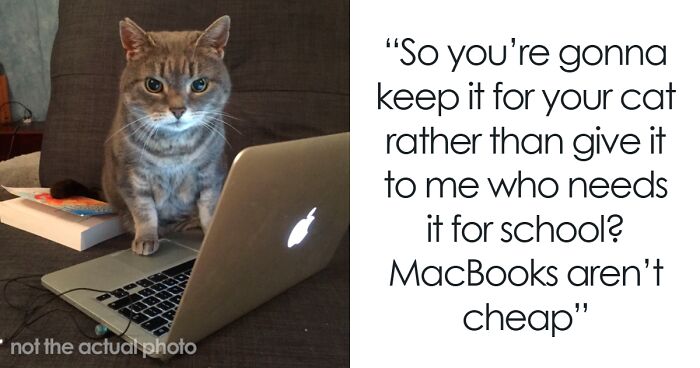 Family Laughs As Guy Chooses Cat Over His Own Sister