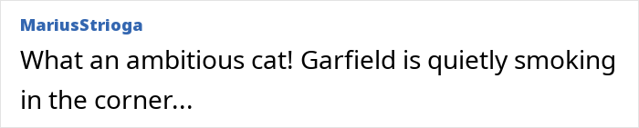 Comment stating an ambitious cat named Garfield is quietly smoking in the corner. Comment stating an ambitious cat named Garfield is quietly smoking in the corner.