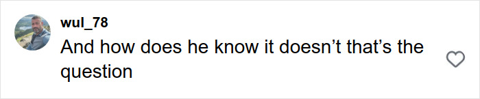 Screenshot of a social media comment expressing disbelief, related to Candace Owens&rsquo; comment about Brigitte Macron.