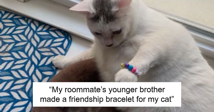 80 Times Cats Acted Like Weird Little Guys And Confused Everyone (New Pics)