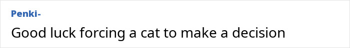 Comment text on a white background discussing the difficulty of forcing a cat to make a decision related to Lithuania lawmaker's cat consent. Comment text on a white background discussing the difficulty of forcing a cat to make a decision related to Lithuania lawmaker's cat consent.
