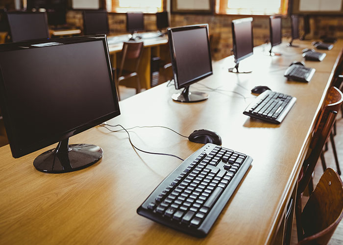 “The Squirrel Won”: 50 Public Moments So Chaotic People Still Can’t Believe They Saw Them