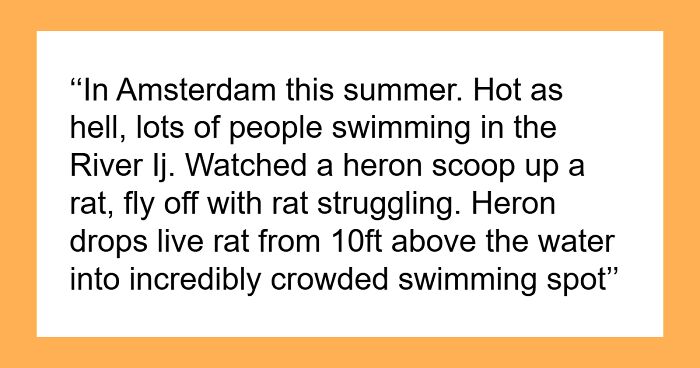 75 Absolutely Chaotic Scenes You’d Think Were Made-Up If It Weren’t For Many Witnesses