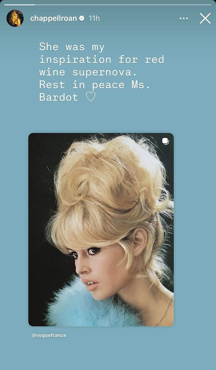Chappell Roan's Instagram post featuring Brigitte Bardot inspiration message amid backlash over Bardot post controversy.