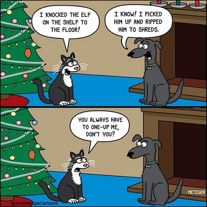 Cat and dog by Christmas tree exchanging funny Christmas memes about knocking elf decorations to the floor and shredding them.