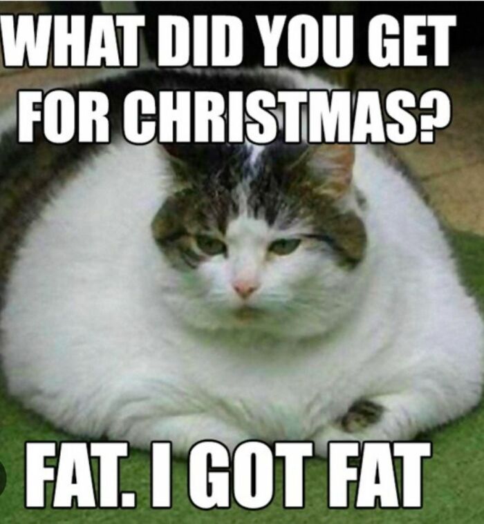 Overweight cat lying down with text about getting fat for Christmas, a humorous Christmas meme.