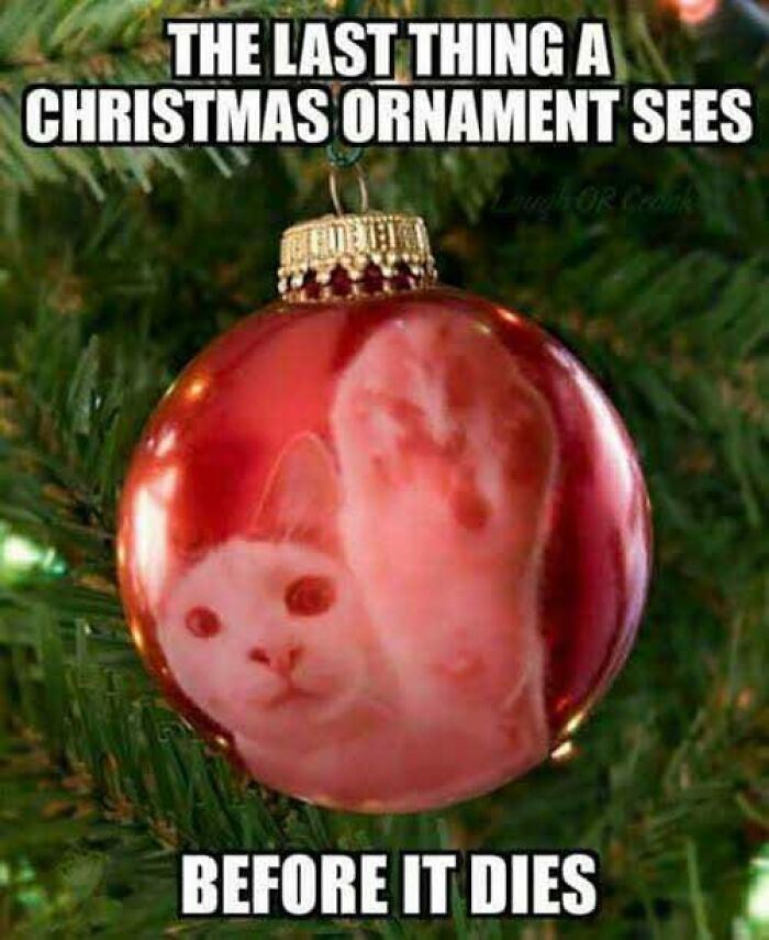 Red Christmas ornament on a tree showing a cat's face and paw with a funny Christmas meme caption.