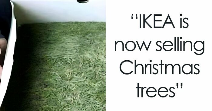 50 Tree-Mendously Funny Christmas Memes That Perfectly Capture The Vibe Of The Jolly Season
