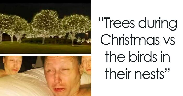 50 Funny Christmas Memes