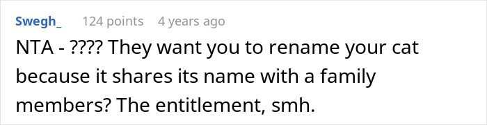 Comment discussing a sister demanding family renames or rehomes 11-year-old cat due to name sharing with her son. Comment discussing a sister demanding family renames or rehomes 11-year-old cat due to name sharing with her son.