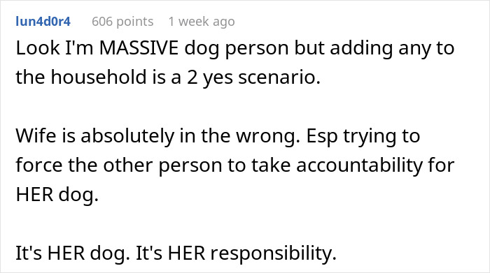 Comment discussing dog-care-home-drama, emphasizing responsibility and disagreement about adding a dog to the household.